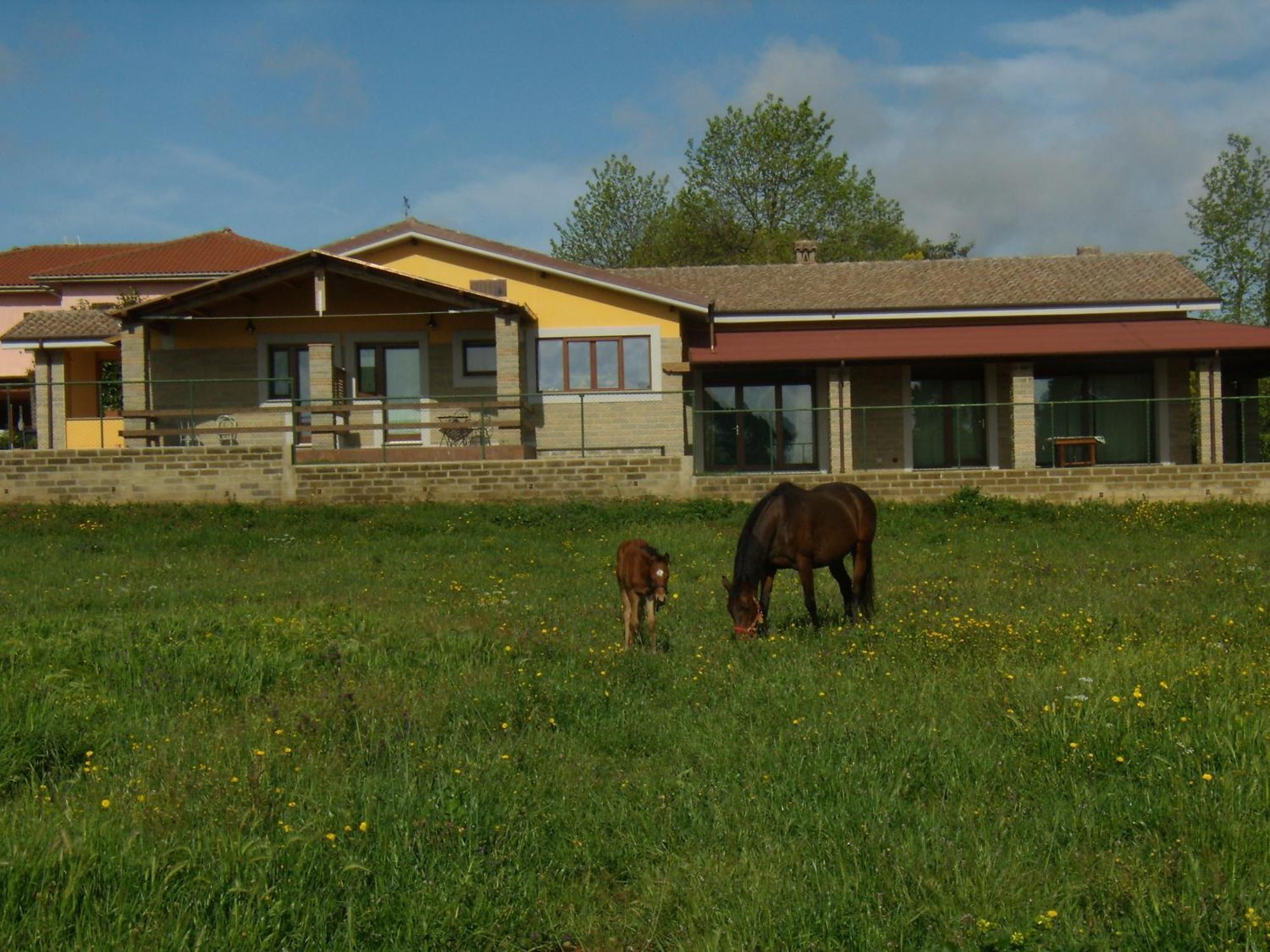 Agriturismo L.B.Stud Bracciano  Dış mekan fotoğraf