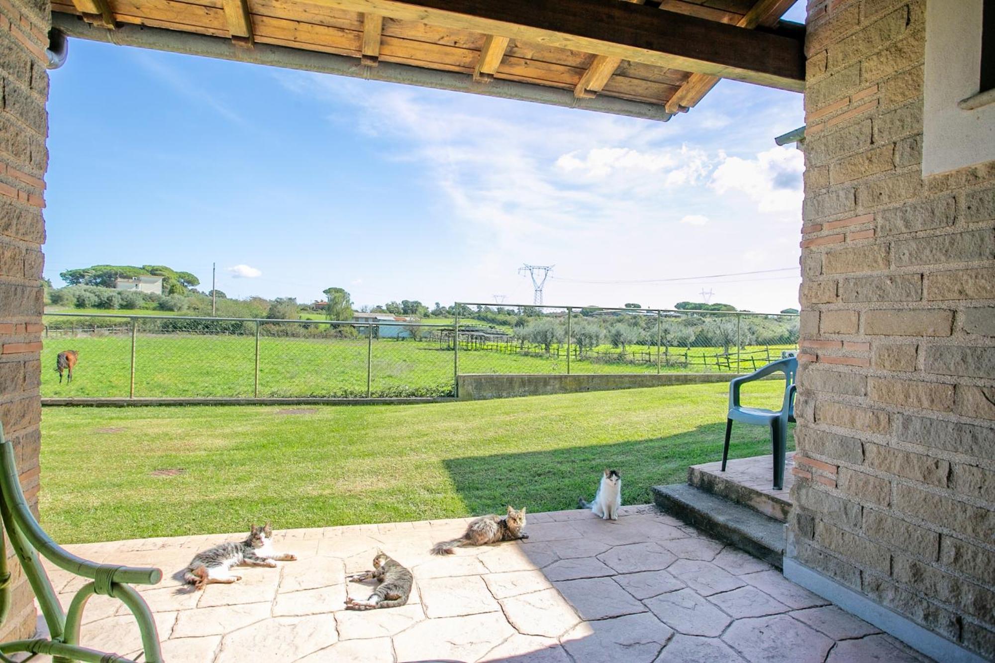 Agriturismo L.B.Stud Bracciano  Dış mekan fotoğraf