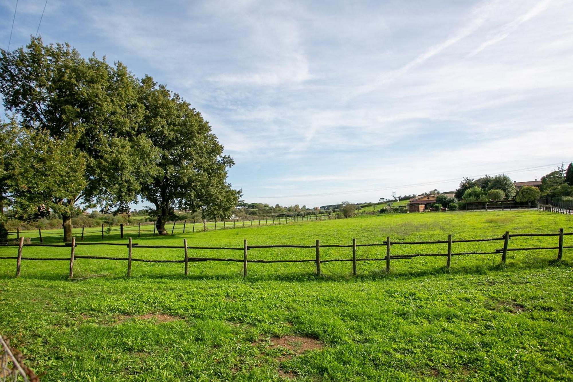 Agriturismo L.B.Stud Bracciano  Dış mekan fotoğraf
