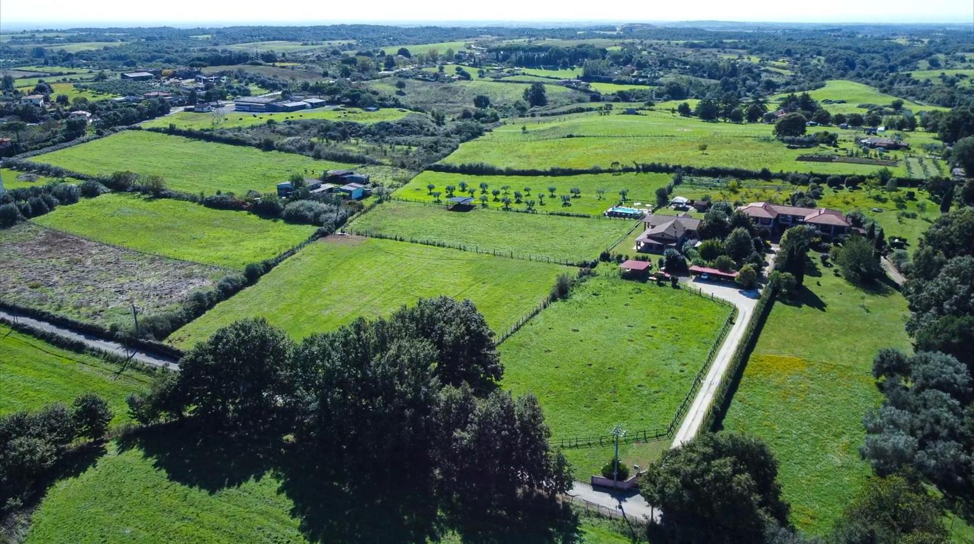 Agriturismo L.B.Stud Bracciano  Dış mekan fotoğraf