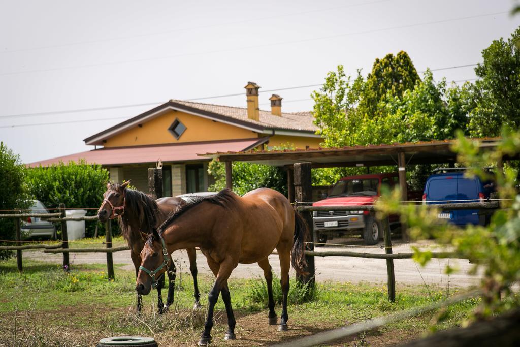 Agriturismo L.B.Stud Bracciano  Dış mekan fotoğraf